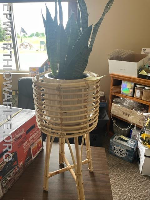 Plant w/Stand donated by Nick and Ellie Wegmann